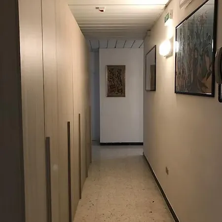 Miro カットーリカ